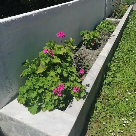 Nikos 1 Kavos